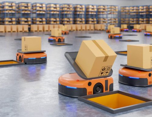 Next-Gen Warehouse Management: Navigating the Landscape of Automation in 2024